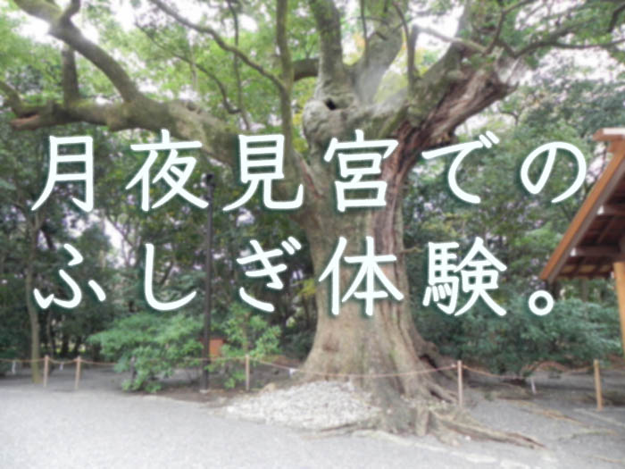 伊勢に行くなら絶対寄りたい 月夜見宮でのふしぎ体験 伊勢道中記 伊勢神宮参拝の旅